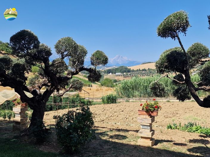 Image No.12-3 Bed Country House for sale