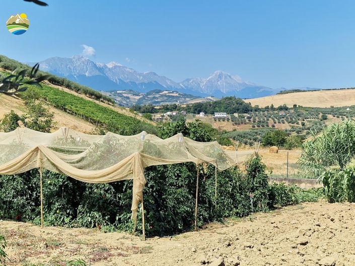 Image No.18-3 Bed Country House for sale