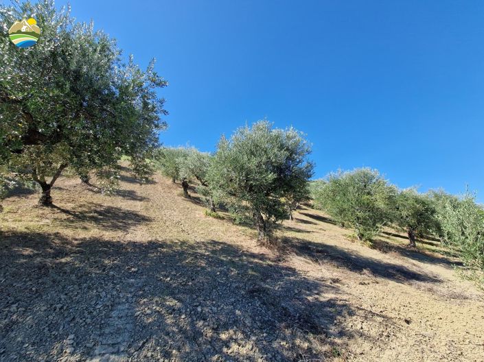 Image No.12-Maison de campagne de 3 chambres à vendre à Bisenti