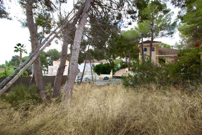 Image No.6-Terrain à vendre à Pinar de Campoverde