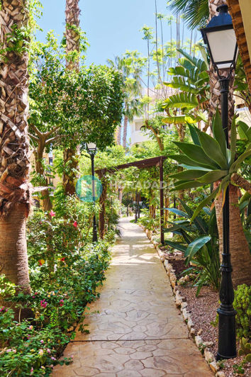 Image No.6-1 Bed Apartment for sale