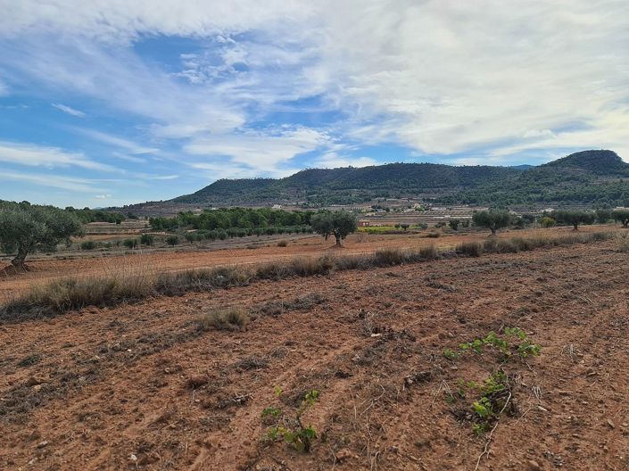 Image No.4-Terre à vendre à Pinoso