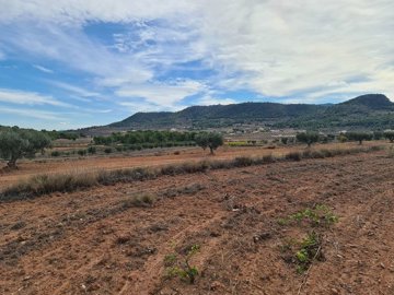 wgqctw03c3jeui82xgk5k