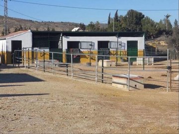 wrohq4p3iyczcp2hjdcto