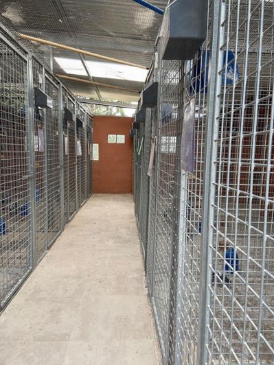 Image No.14-12 Bed Commercial for sale