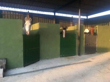 wmiim7neub0bhuuje7rf3