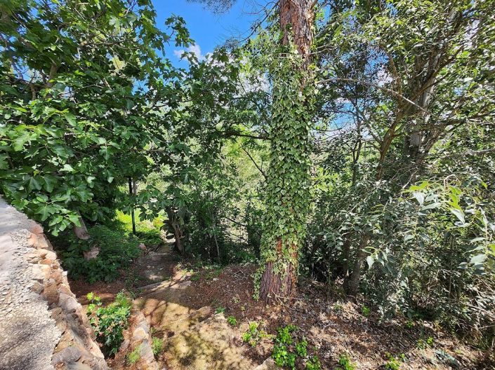 Image No.30-Maison de campagne de 10 chambres à vendre à Alicante