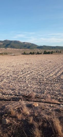 Image No.4-Terre à vendre à Salinas