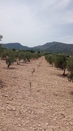 w8387sqe0osob7hkizwf6