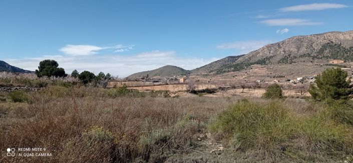 Image No.2-Terre à vendre à La Romana