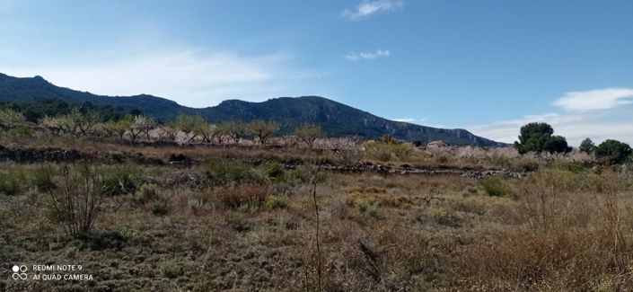 Image No.7-Terre à vendre à La Romana