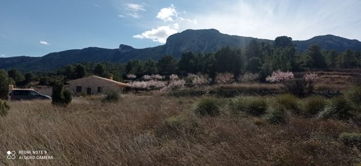 Image No.8-Terre à vendre à La Romana