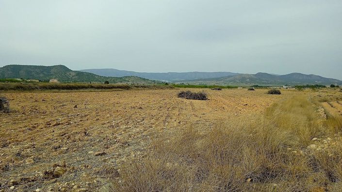 Image No.3-Terre à vendre à Monóvar