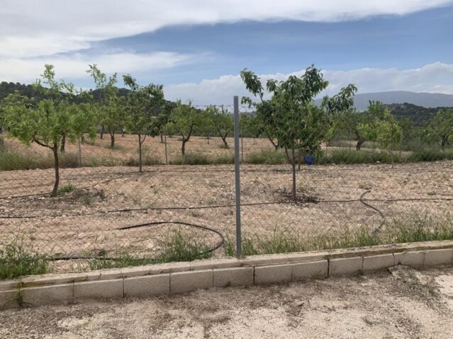 Image No.14-Villa de 4 chambres à vendre à Pinoso