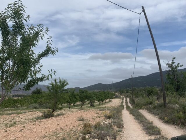 Image No.8-Villa de 4 chambres à vendre à Pinoso