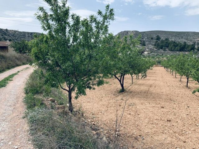 Image No.2-Terre à vendre à La Romana