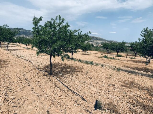 Image No.10-Terre à vendre à La Romana