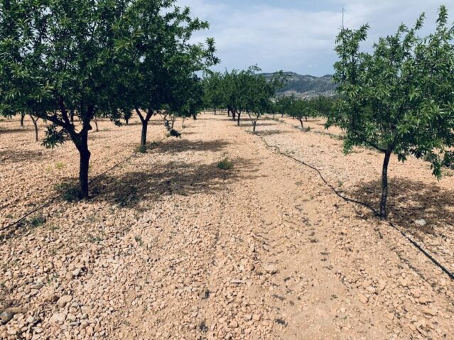 Image No.11-Terre à vendre à La Romana