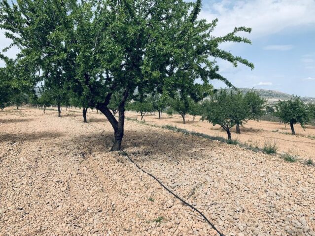 Image No.12-Terre à vendre à La Romana