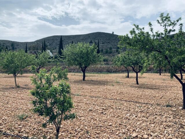 Image No.14-Terre à vendre à La Romana