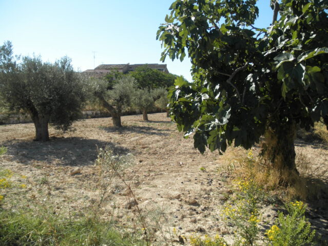 Image No.10-Villa de 5 chambres à vendre à La Romana