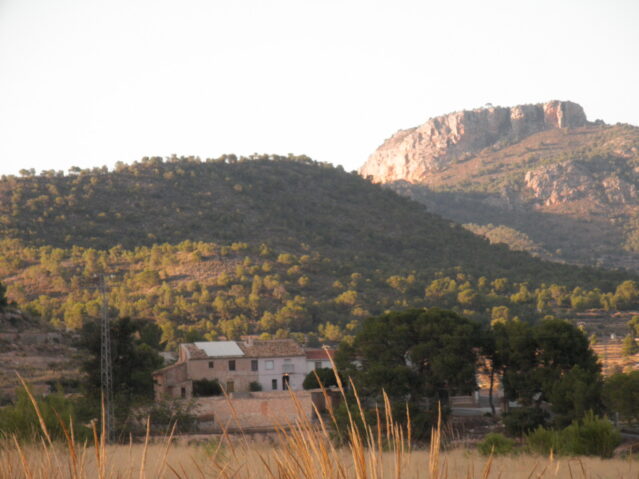 Image No.4-Villa de 5 chambres à vendre à La Romana