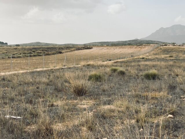Image No.4-Terre à vendre à Alicante