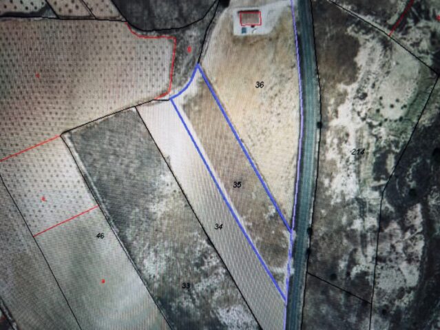 Image No.8-Terre à vendre à Alicante