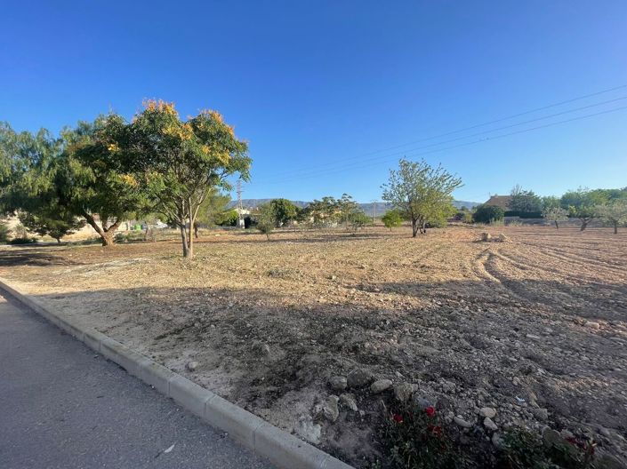 Image No.9-Terre à vendre à Pinoso