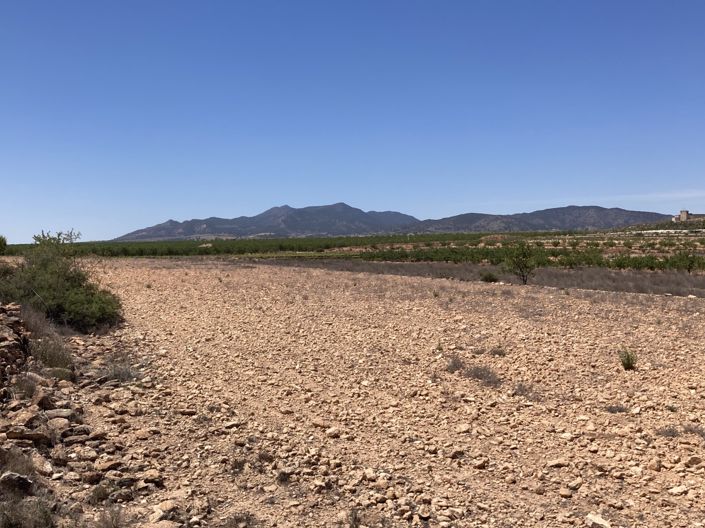 Image No.2-Terre à vendre à Pinoso