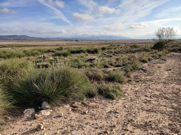 Image No.4-Terre à vendre à Alicante