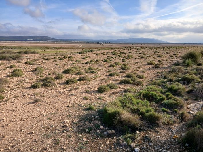 Image No.5-Terre à vendre à Alicante