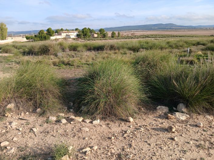 Image No.6-Terre à vendre à Alicante
