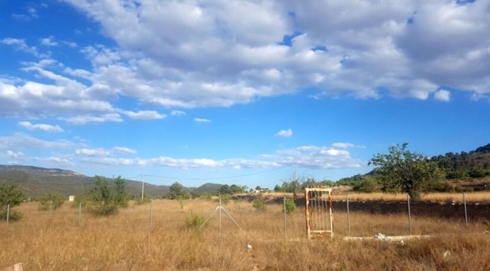 Image No.2-Terre à vendre à Monóvar