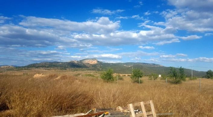 Image No.3-Terre à vendre à Monóvar