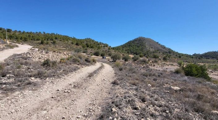 Image No.2-Terre à vendre à Monóvar