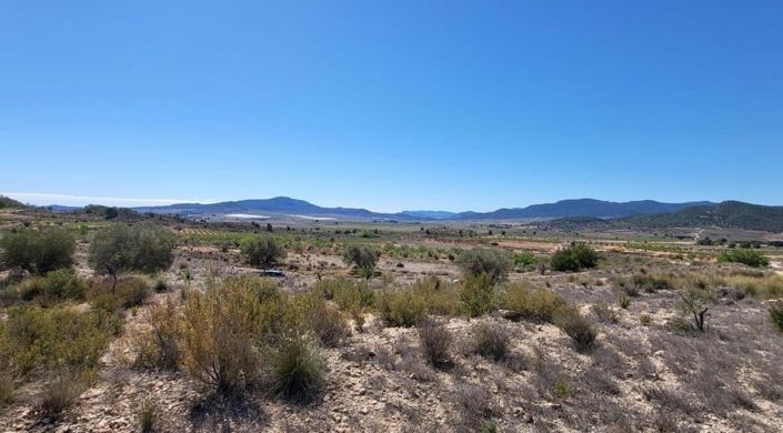 Image No.5-Terre à vendre à Monóvar