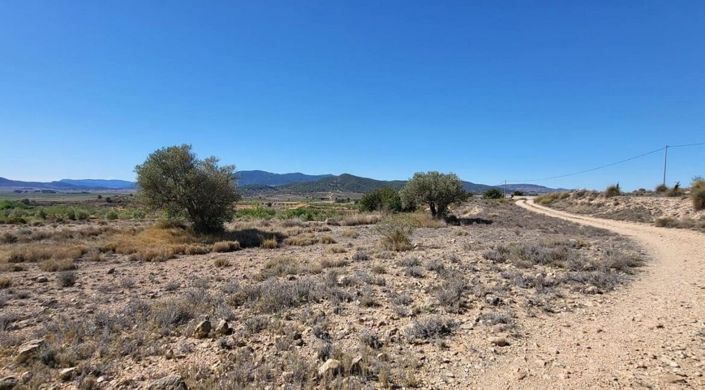 Image No.6-Terre à vendre à Monóvar