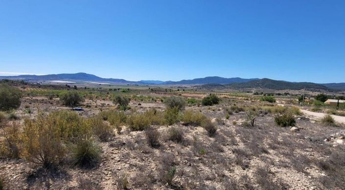 Image No.7-Terre à vendre à Monóvar