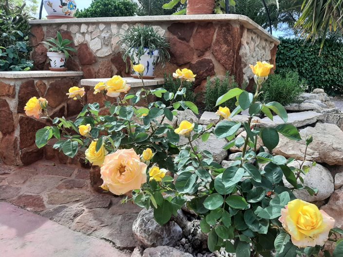 Image No.7-Villa de 6 chambres à vendre à Alicante