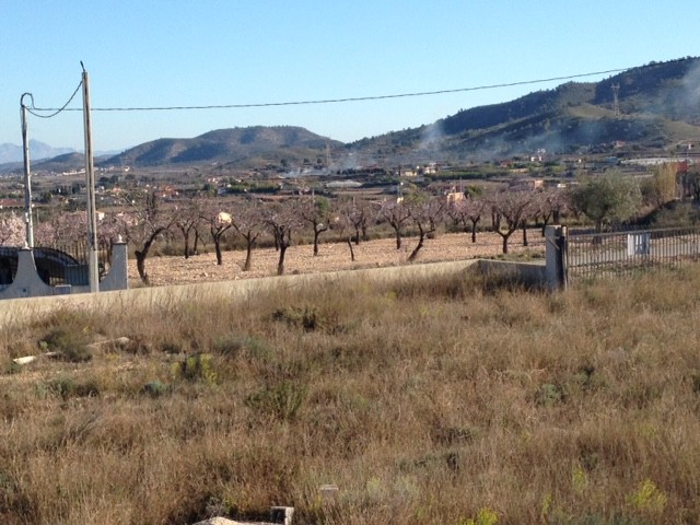 Image No.4-Terre à vendre à Hondón de los Frailes