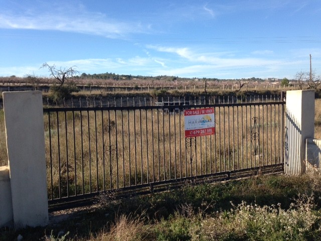 Image No.9-Terre à vendre à Hondón de los Frailes