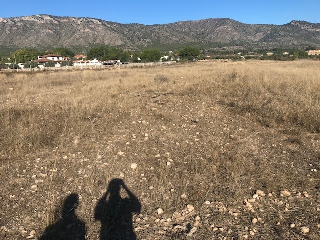 Image No.8-Land for sale