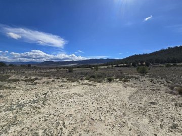 wimg-20250402-wa0112