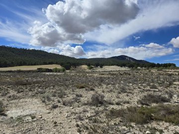 wimg-20250402-wa0115