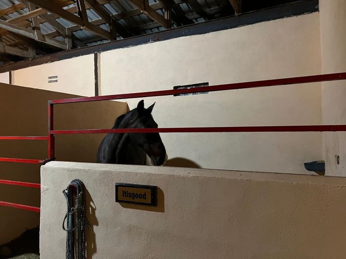 Image No.30-Villa de 3 chambres à vendre à Alicante