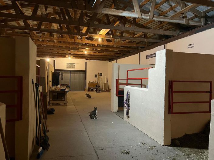 Image No.31-Villa de 3 chambres à vendre à Alicante