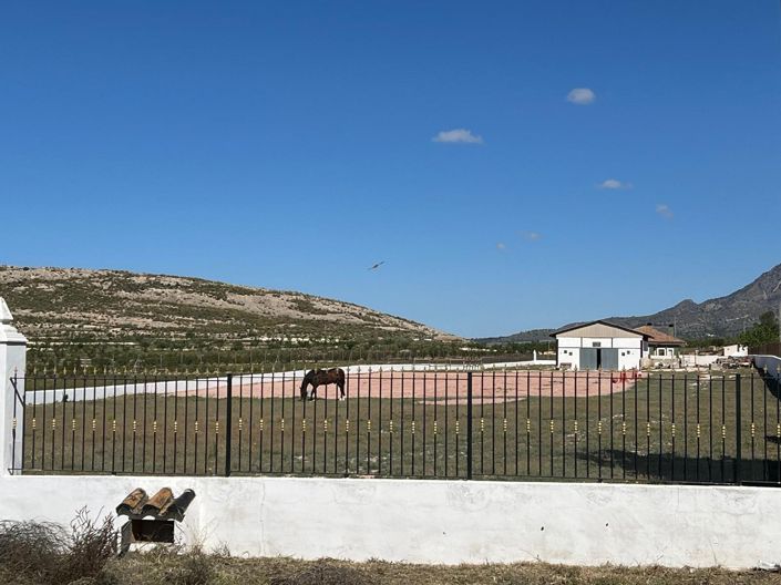 Image No.37-Villa de 3 chambres à vendre à Alicante