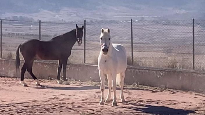 Image No.38-Villa de 3 chambres à vendre à Alicante