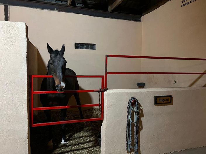 Image No.41-Villa de 3 chambres à vendre à Alicante